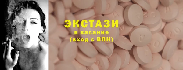 гашик Алексин