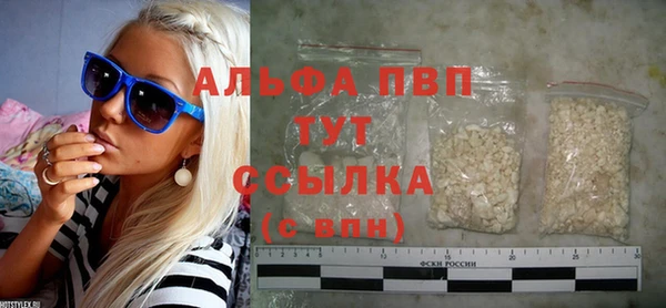 гашик Алексин