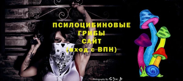 индика Россошь