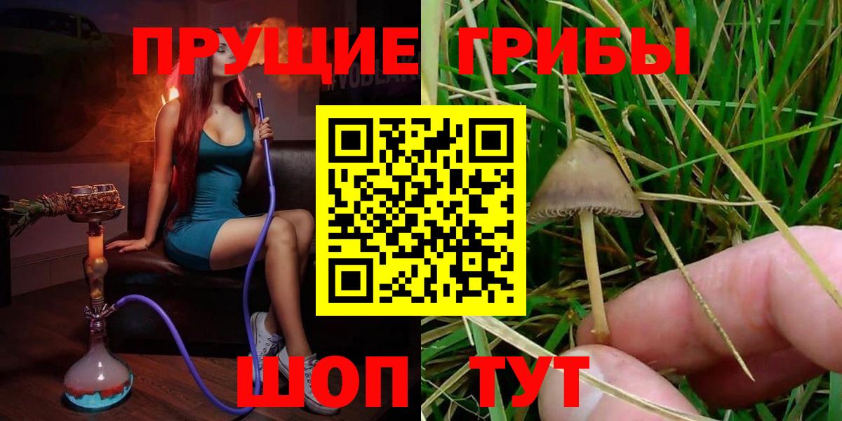 Псилоцибиновые грибы GOLDEN TEACHER  Вход с VPN  Новокубанск 