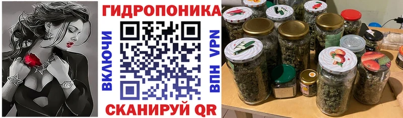 kraken зеркало  Новокубанск  Конопля AK-47 
